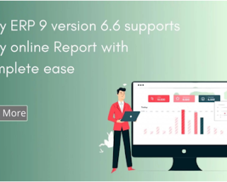 Tally ERP 9 version 6.6 supports Tally online Report with complete ease